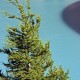 20080716_173815