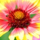 20080717_113552