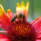 20080717_114045