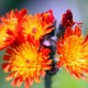 20080719_125611