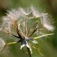 20080719_132724